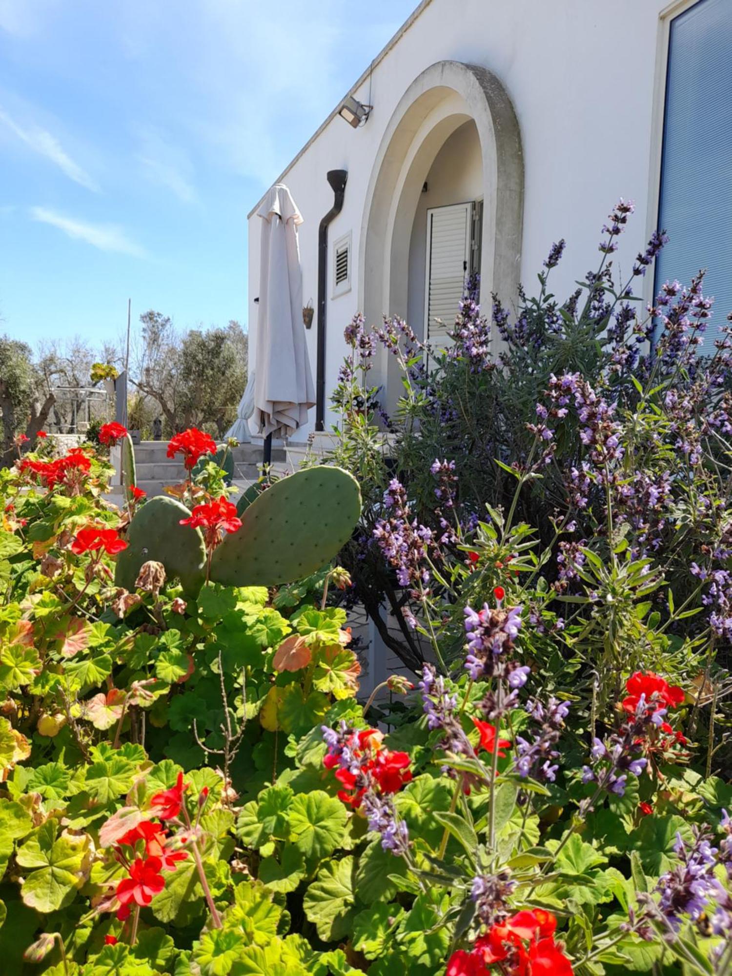 Tenuta Valle Dell Idro Otranto Con Piscina Casamassella エクステリア 写真